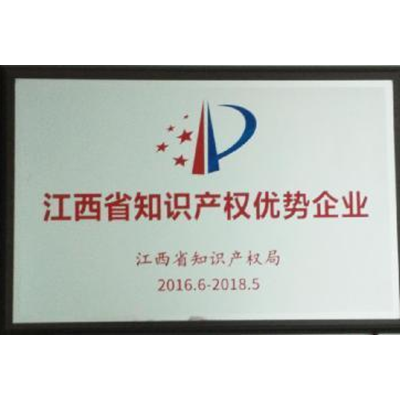 Jiangxi intellectual property advantage enterprise