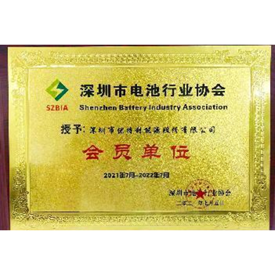 Member unit of Shenzhen Battery Industry Association